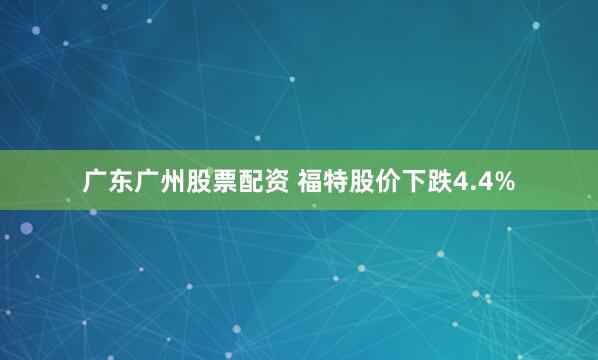 广东广州股票配资 福特股价下跌4.4%