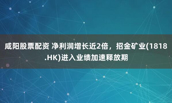 咸阳股票配资 净利润增长近2倍，招金矿业(1818.HK)进入业绩加速释放期