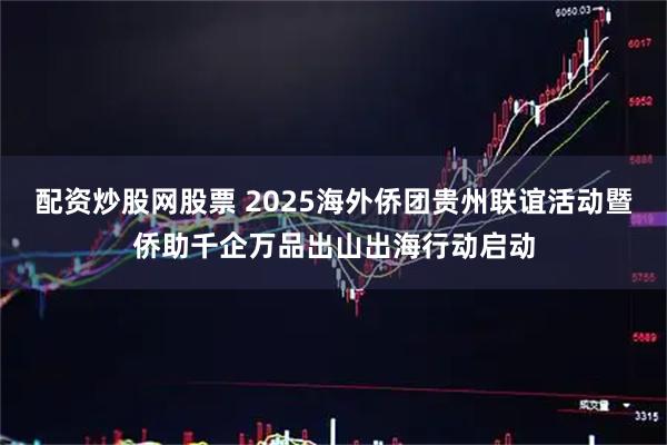配资炒股网股票 2025海外侨团贵州联谊活动暨侨助千企万品出山出海行动启动