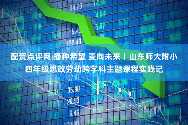 配资点评网 播种希望 麦向未来丨山东师大附小四年级思政劳动跨学科主题课程实践记
