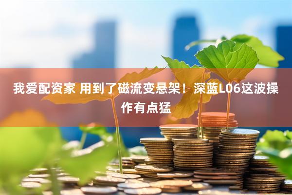 我爱配资家 用到了磁流变悬架！深蓝L06这波操作有点猛